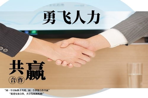 七台河中介服务联系方式及常见服务范围