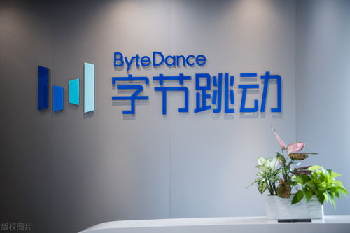 小米朱萌加盟字节穿山甲，担任中介服务负责人